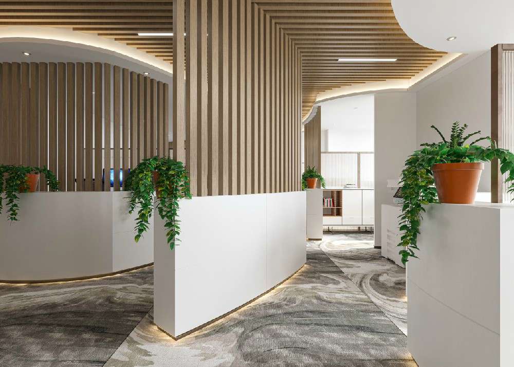 郑州办公楼装修后怎么选择绿植净化